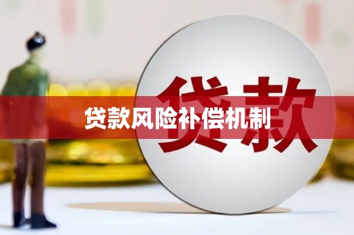 清水河贷款风险补偿机制