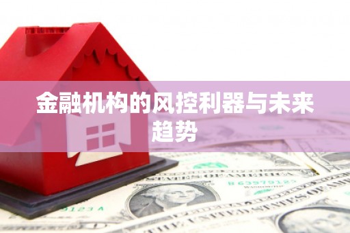 清水河金融机构的风控利器与未来趋势
