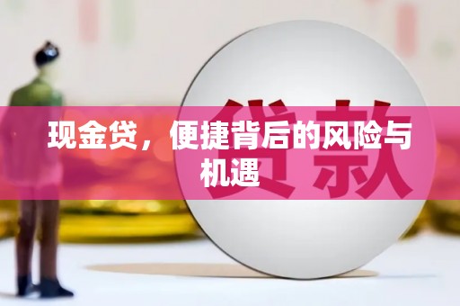 清水河现金贷，便捷背后的风险与机遇