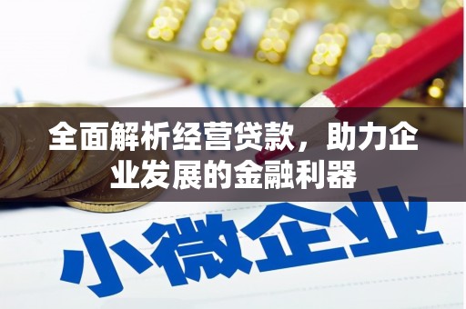 清水河全面解析经营贷款，助力企业发展的金融利器