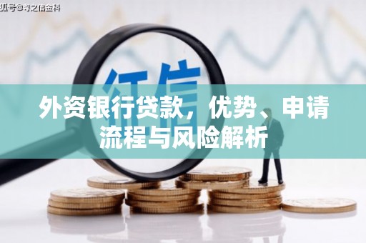 清水河外资银行贷款，优势、申请流程与风险解析