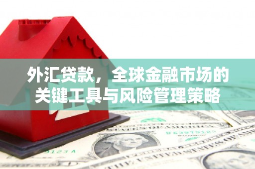 清水河外汇贷款，全球金融市场的关键工具与风险管理策略