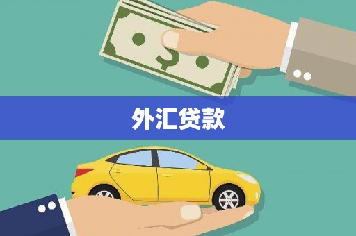 清水河外汇贷款