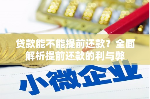 清水河贷款能不能提前还款？全面解析提前还款的利与弊