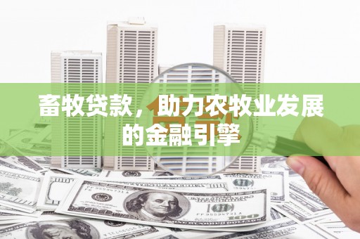 清水河畜牧贷款，助力农牧业发展的金融引擎
