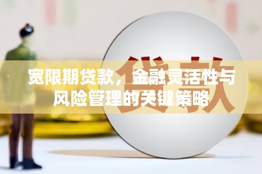 清水河宽限期贷款，金融灵活性与风险管理的关键策略