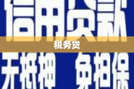 清水河税务贷