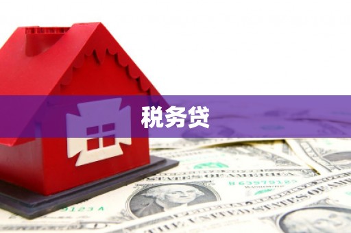 清水河税务贷