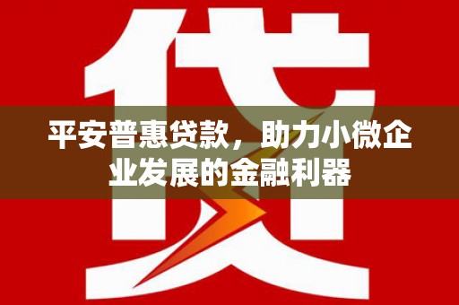 清水河平安普惠贷款，助力小微企业发展的金融利器