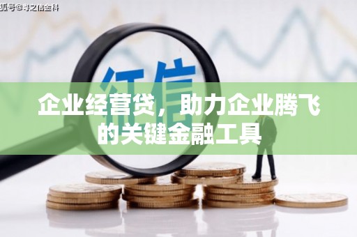 清水河企业经营贷，助力企业腾飞的关键金融工具