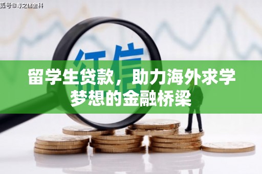 清水河留学生贷款，助力海外求学梦想的金融桥梁