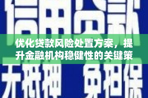 清水河优化贷款风险处置方案，提升金融机构稳健性的关键策略