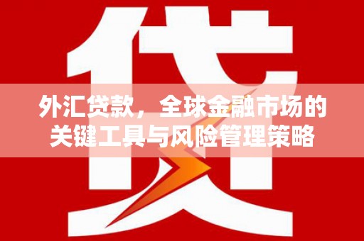 清水河外汇贷款，全球金融市场的关键工具与风险管理策略
