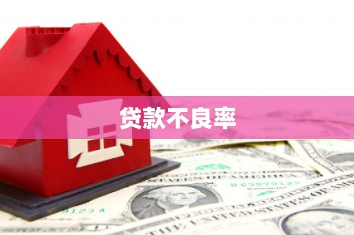 清水河贷款不良率