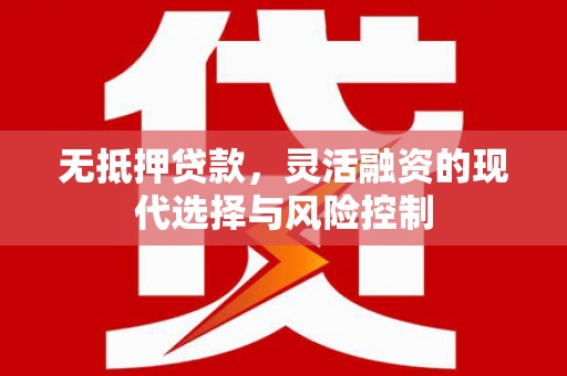 清水河无抵押贷款，灵活融资的现代选择与风险控制
