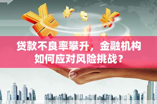 清水河贷款不良率攀升，金融机构如何应对风险挑战？