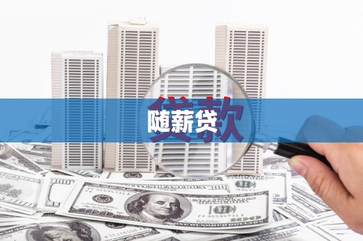 清水河随薪贷