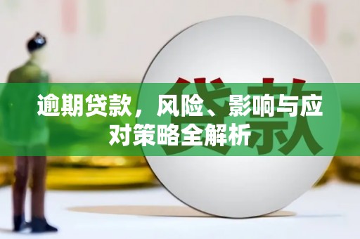 清水河逾期贷款，风险、影响与应对策略全解析