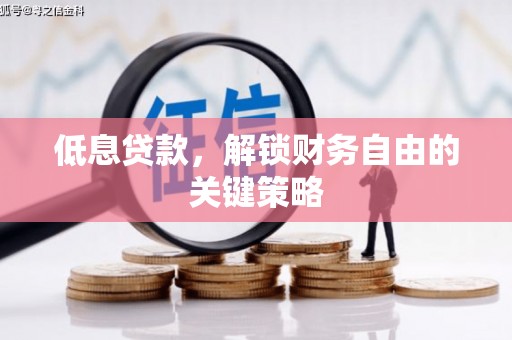 清水河低息贷款，解锁财务自由的关键策略