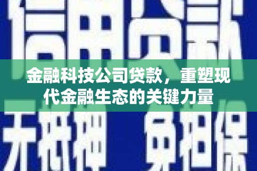 清水河金融科技公司贷款，重塑现代金融生态的关键力量