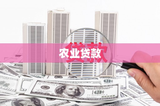 清水河农业贷款