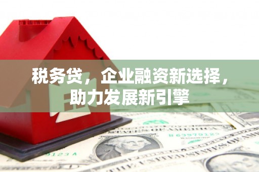 清水河税务贷，企业融资新选择，助力发展新引擎