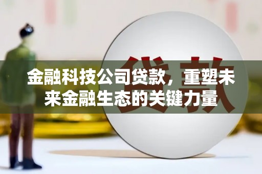清水河金融科技公司贷款，重塑未来金融生态的关键力量