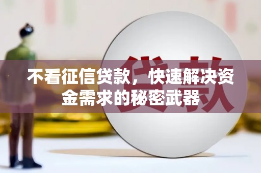 清水河不看征信贷款，快速解决资金需求的秘密武器