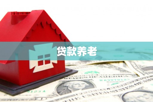清水河贷款养老