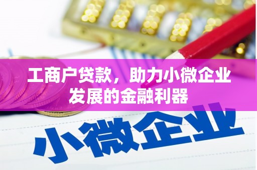 清水河工商户贷款，助力小微企业发展的金融利器