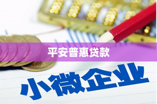 清水河平安普惠贷款