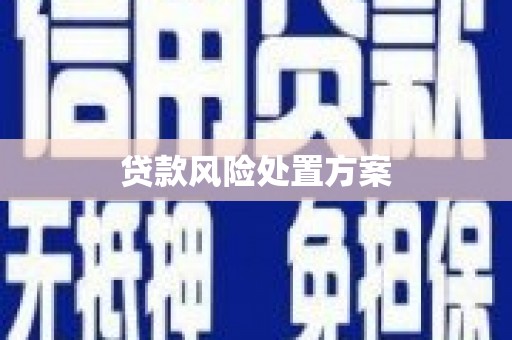 清水河贷款风险处置方案