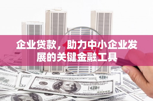清水河企业贷款，助力中小企业发展的关键金融工具
