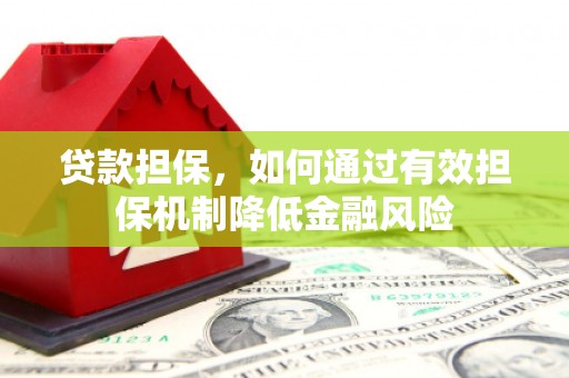 清水河贷款担保，如何通过有效担保机制降低金融风险