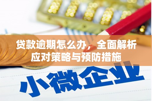 清水河贷款逾期怎么办，全面解析应对策略与预防措施