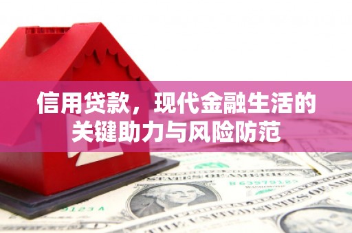 清水河信用贷款，现代金融生活的关键助力与风险防范