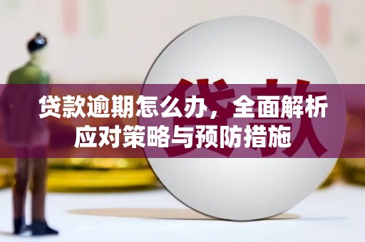 清水河贷款逾期怎么办，全面解析应对策略与预防措施