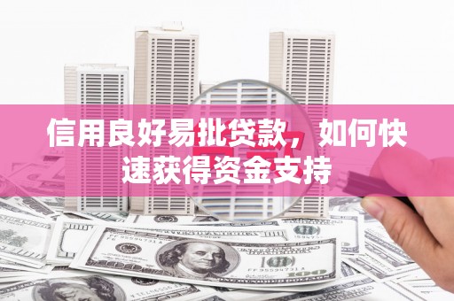 清水河信用良好易批贷款，如何快速获得资金支持