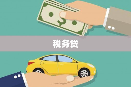 清水河税务贷