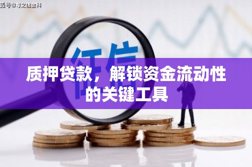 清水河质押贷款，解锁资金流动性的关键工具