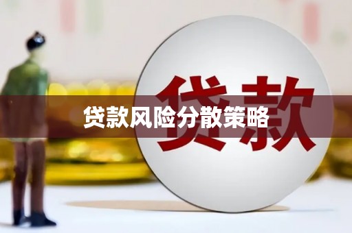 清水河贷款风险分散策略