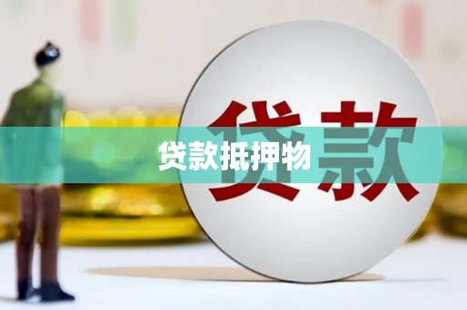 清水河贷款抵押物