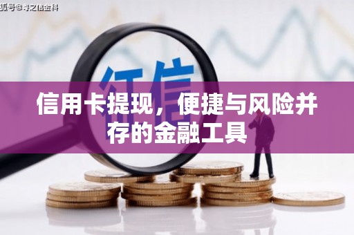 清水河信用卡提现，便捷与风险并存的金融工具