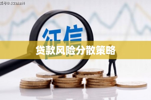 清水河贷款风险分散策略