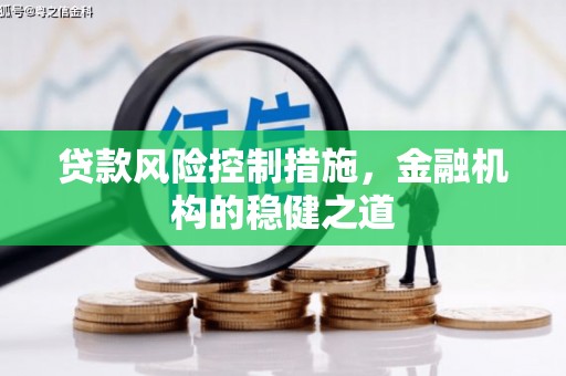清水河贷款风险控制措施，金融机构的稳健之道