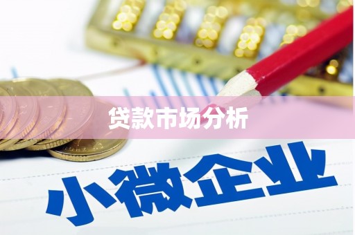 清水河贷款市场分析