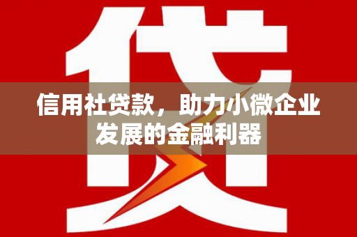 清水河信用社贷款，助力小微企业发展的金融利器