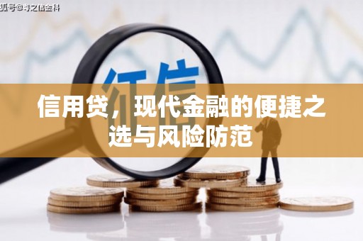 清水河信用贷，现代金融的便捷之选与风险防范