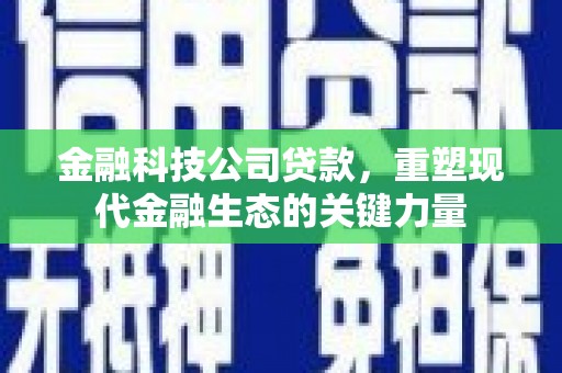 清水河金融科技公司贷款，重塑现代金融生态的关键力量