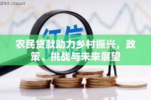 清水河农民贷款助力乡村振兴，政策、挑战与未来展望